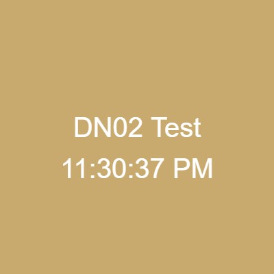 DN01